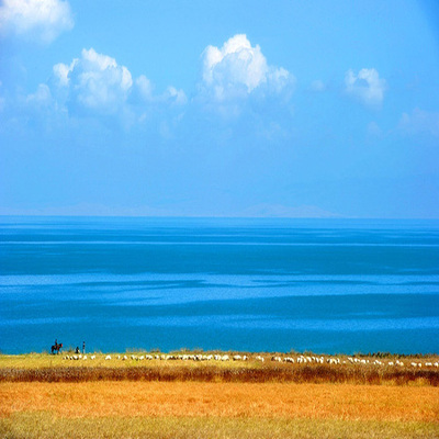 青海天海国际旅行社